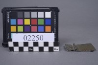 藏品(蝴蝶片)的圖片