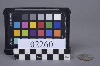 藏品(銅錢)的圖片