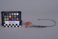 藏品(蚊帳鉤)的圖片