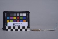 藏品(連江縣漁民作業證)的圖片