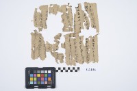 藏品(地契)的圖片