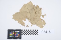 藏品(地契碎片)的圖片