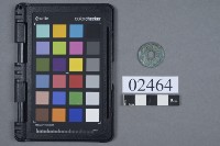 藏品(皇宋通寶)的圖片