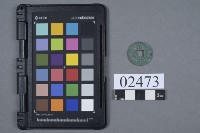 藏品(治平元寶)的圖片