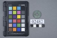 藏品(元豐通寶)的圖片