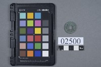 藏品(元佑通寶)的圖片