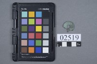 藏品(建炎通寶)的圖片