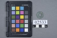 藏品(古幣)的圖片