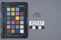 藏品(古幣)的圖片