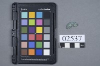 藏品(古幣殘件)的圖片