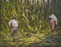 藏品(採收甘蔗)的圖片