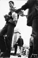 藏品(推銷)的圖片