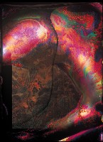 藏品(開天系列31)的圖片