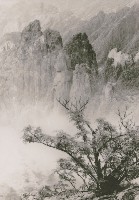 藏品(春樹奇峰)的圖片