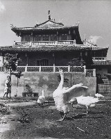 藏品(赤崁樓)的圖片