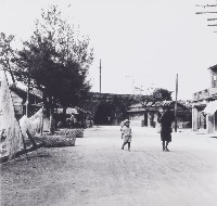 藏品(恆春電影海角一號景)的圖片