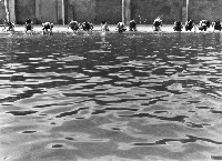 藏品(泳前準備)的圖片