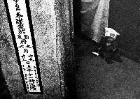 藏品(童心（李良木）)的圖片