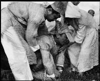 藏品(生離死別)的圖片