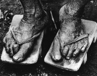 藏品(歷盡滄桑)的圖片