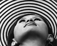 藏品(仰望)的圖片