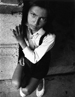 藏品(疑惑)的圖片