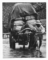 藏品(奮鬥)的圖片