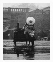 藏品(為誰辛苦為誰忙)的圖片