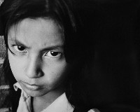 藏品(蓮嬌)的圖片