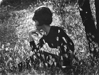 藏品(秋意)的圖片