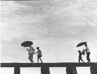 藏品(親情)的圖片