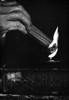 藏品(信徒的手（一）敬)的圖片