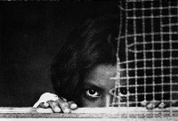 藏品(窺)的圖片