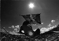 藏品(農作忙)的圖片