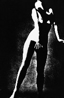 藏品(舞)的圖片