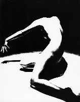 藏品(袒)的圖片