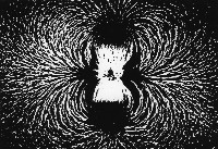 藏品(幻想樂)的圖片