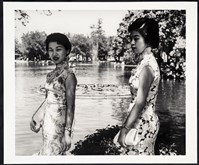 藏品(靚女圖)的圖片