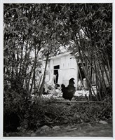 藏品(竹蔭獨秀)的圖片