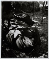 藏品(竹蔭小憩)的圖片