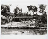 藏品(大農家)的圖片