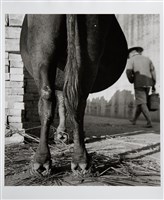藏品(飽與餓)的圖片