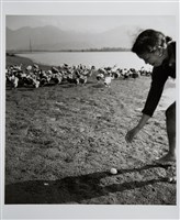 藏品(河畔撿蛋)的圖片