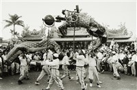 藏品(舞龍)的圖片