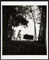 藏品(農村行商)的圖片