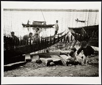 藏品(網下即景)的圖片