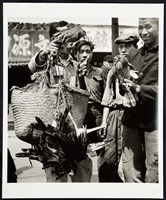 藏品(賣鷹)的圖片