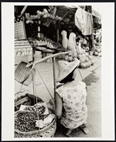 藏品(賣菱角)的圖片