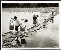 藏品(挑水肥)的圖片