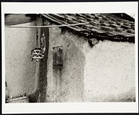 藏品(農村曬鴨掌)的圖片